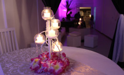 Festa Teen
