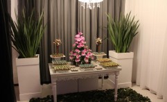 Festa Teen