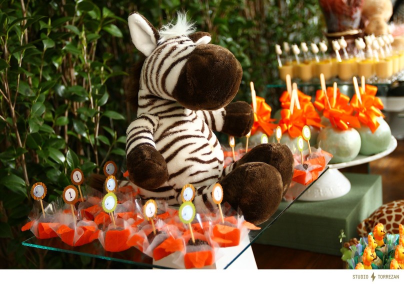 Safari 09